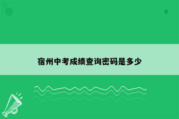 宿州中考成绩查询密码是多少