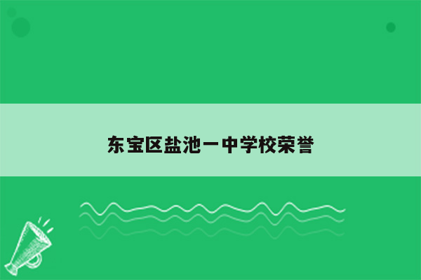 东宝区盐池一中学校荣誉
