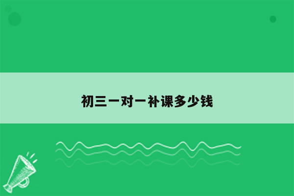 初三一对一补课多少钱