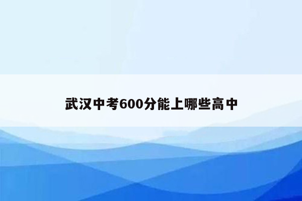 武汉中考600分能上哪些高中