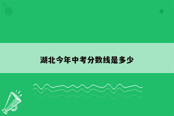 湖北今年中考分数线是多少