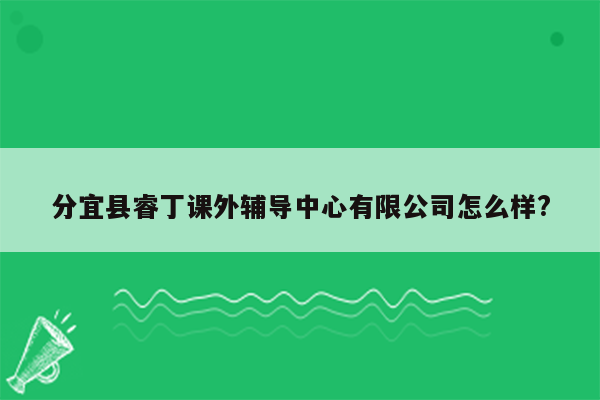分宜县睿丁课外辅导中心有限公司怎么样?
