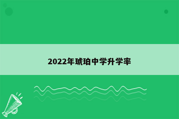 2022年琥珀中学升学率
