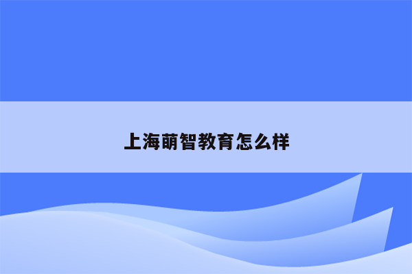 上海萌智教育怎么样