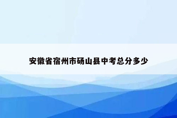 安徽省宿州市砀山县中考总分多少