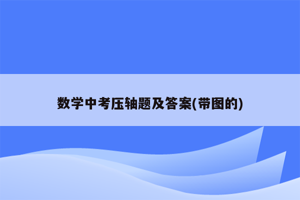 数学中考压轴题及答案(带图的)