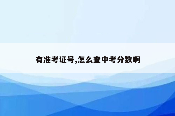 有准考证号,怎么查中考分数啊