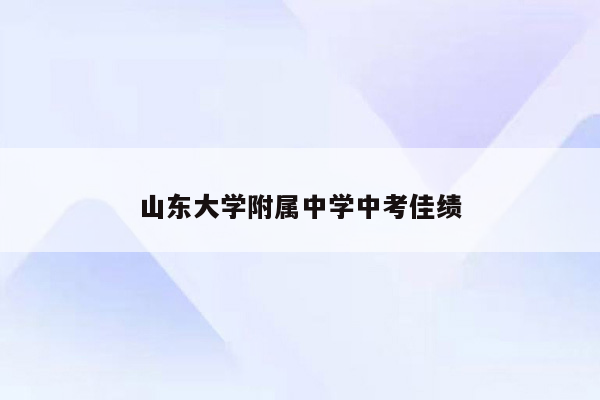 山东大学附属中学中考佳绩