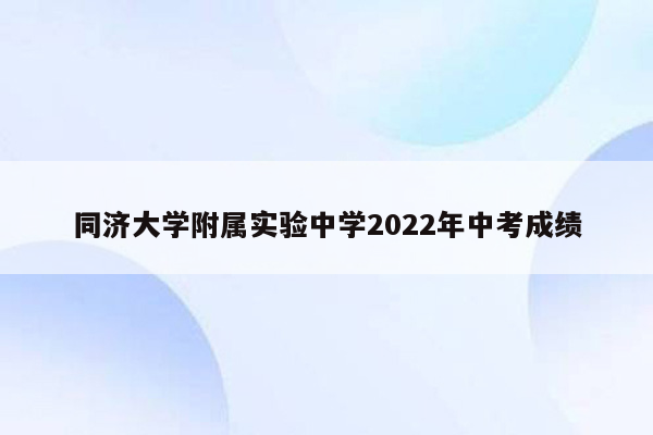 同济大学附属实验中学2022年中考成绩