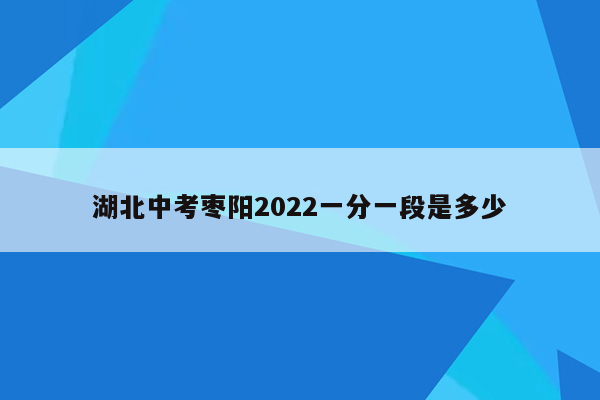 湖北中考枣阳2022一分一段是多少