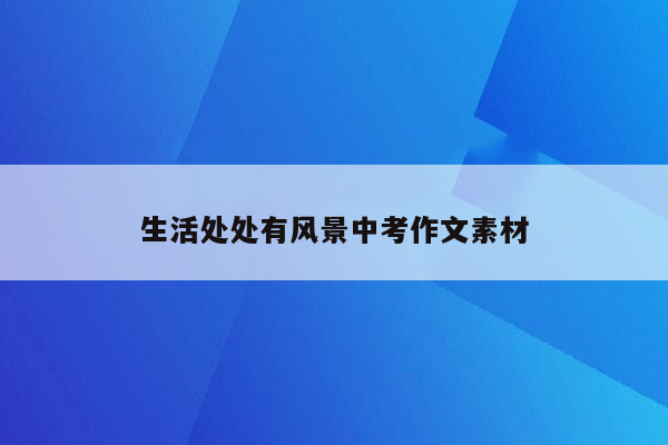 生活处处有风景中考作文素材