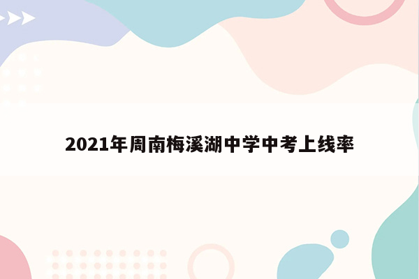 2021年周南梅溪湖中学中考上线率