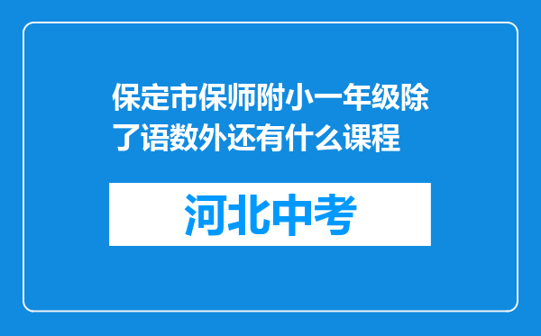 保定市保师附小一年级除了语数外还有什么课程