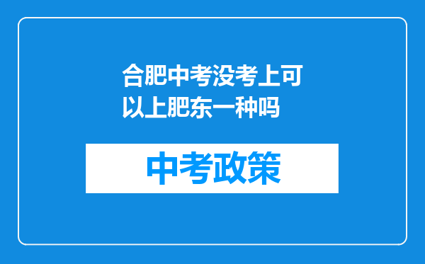 合肥中考没考上可以上肥东一种吗