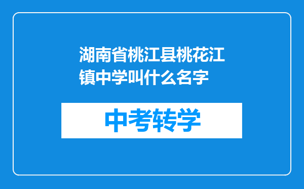 湖南省桃江县桃花江镇中学叫什么名字