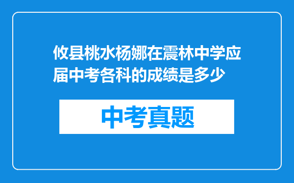 攸县桃水杨娜在震林中学应届中考各科的成绩是多少