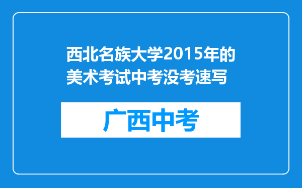 西北名族大学2015年的美术考试中考没考速写