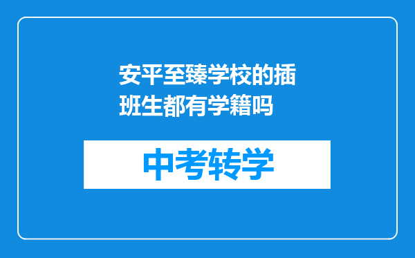 安平至臻学校的插班生都有学籍吗