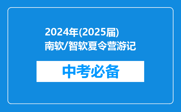 2024年(2025届)南软/智软夏令营游记
