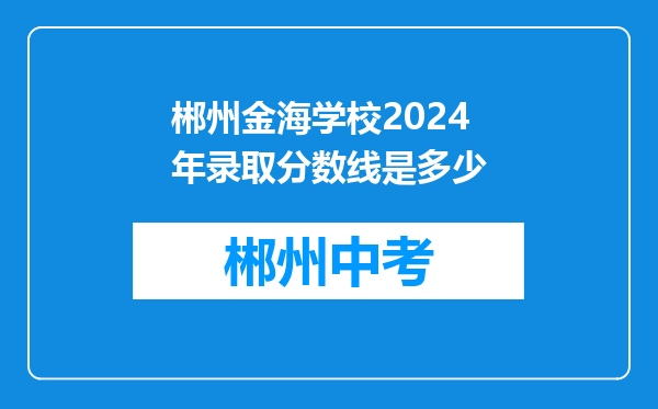 郴州金海学校2024年录取分数线是多少