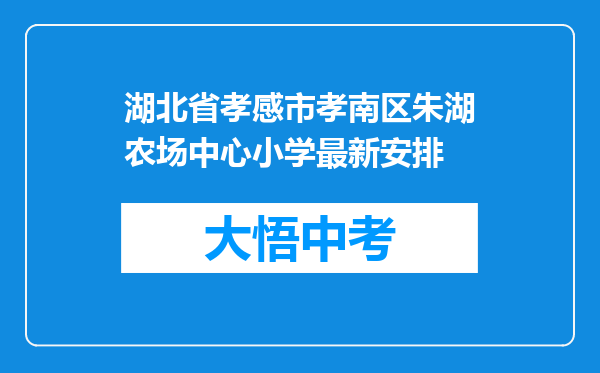 湖北省孝感市孝南区朱湖农场中心小学最新安排