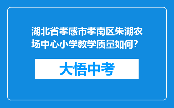 湖北省孝感市孝南区朱湖农场中心小学教学质量如何？