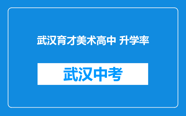 武汉育才美术高中 升学率