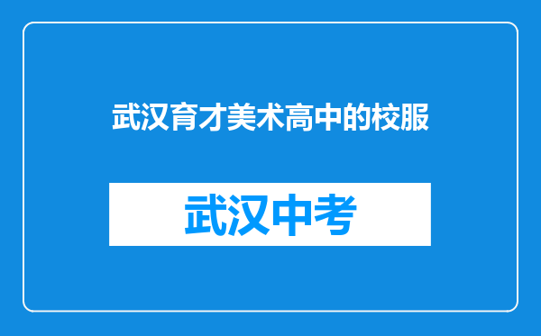 武汉育才美术高中的校服