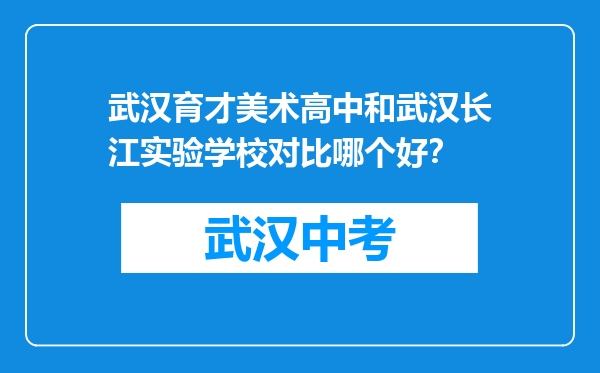 武汉育才美术高中和武汉长江实验学校对比哪个好？