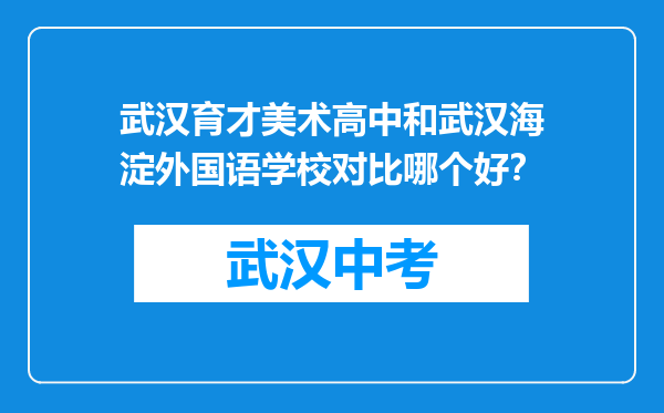 武汉育才美术高中和武汉海淀外国语学校对比哪个好？