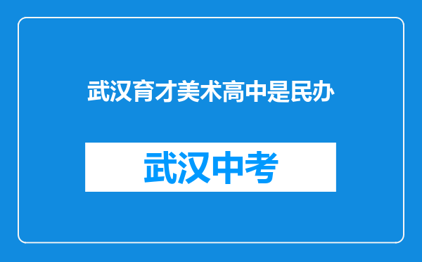 武汉育才美术高中是民办