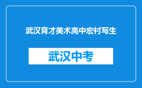 武汉育才美术高中宏村写生