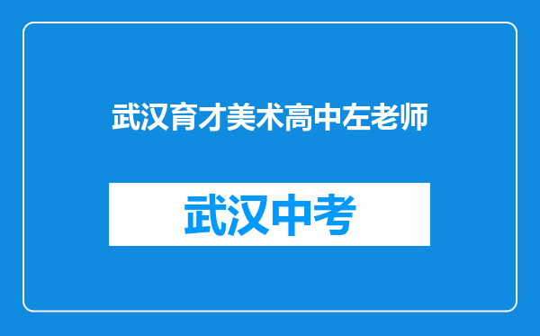 武汉育才美术高中左老师