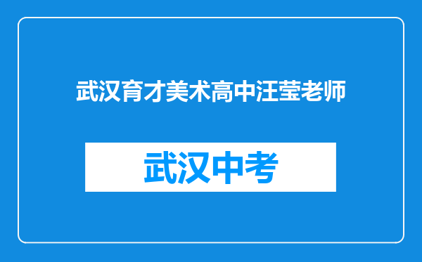 武汉育才美术高中汪莹老师