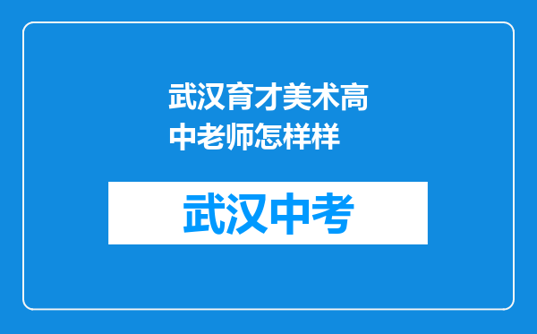 武汉育才美术高中老师怎样样