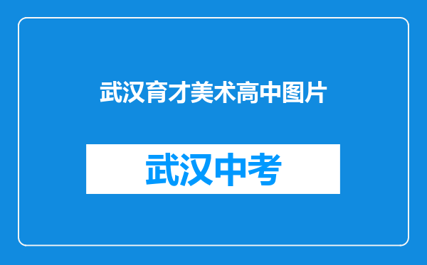 武汉育才美术高中图片