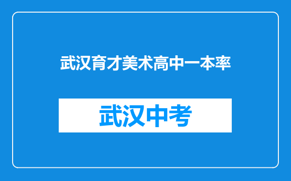 武汉育才美术高中一本率
