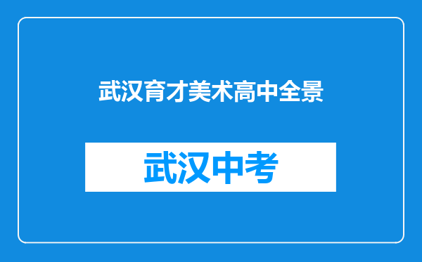 武汉育才美术高中全景