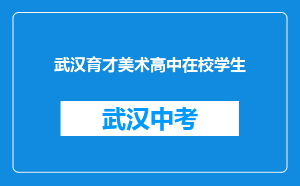 武汉育才美术高中在校学生