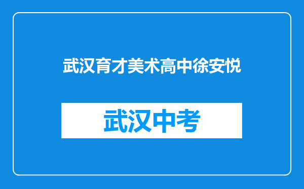 武汉育才美术高中徐安悦