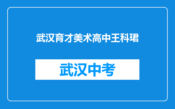武汉育才美术高中王科珺