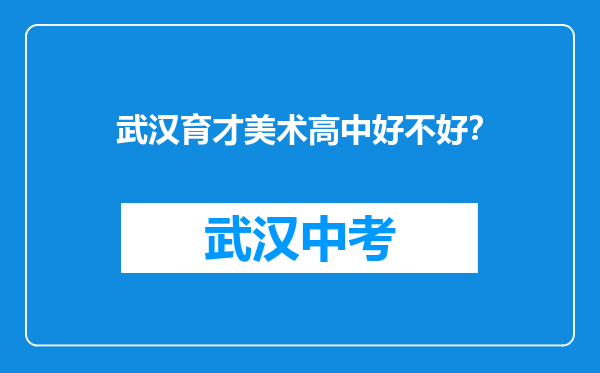 武汉育才美术高中好不好？