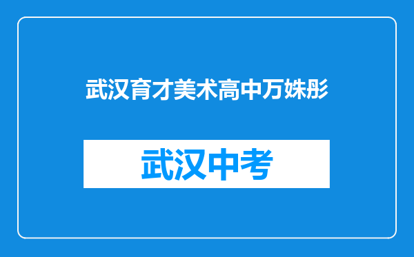武汉育才美术高中万姝彤