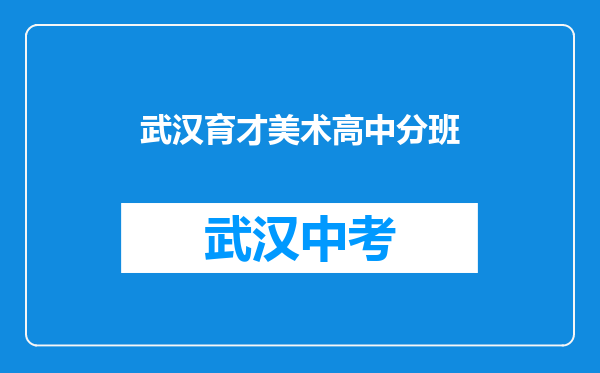 武汉育才美术高中分班