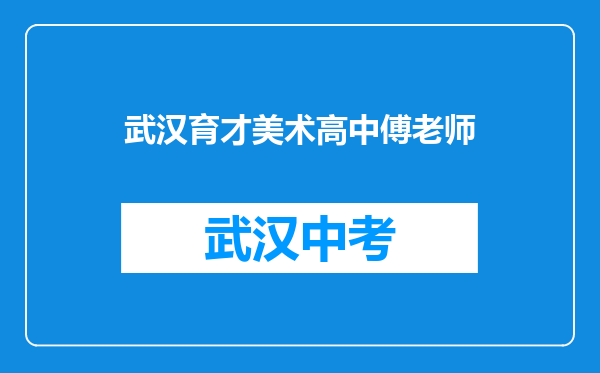 武汉育才美术高中傅老师