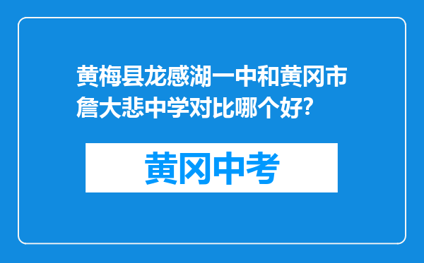 黄梅县龙感湖一中和黄冈市詹大悲中学对比哪个好？