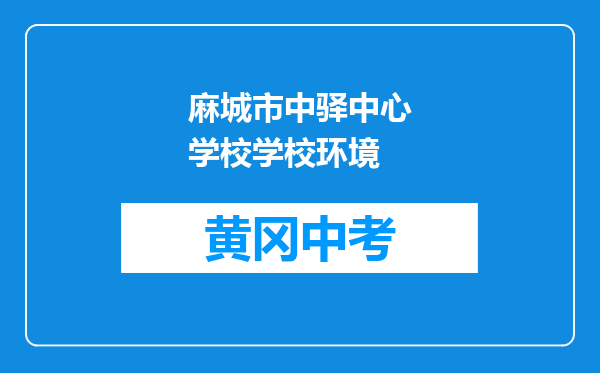 麻城市中驿中心学校学校环境