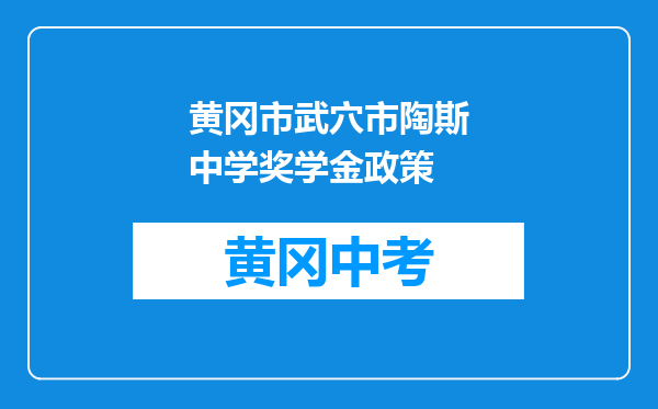 黄冈市武穴市陶斯中学奖学金政策