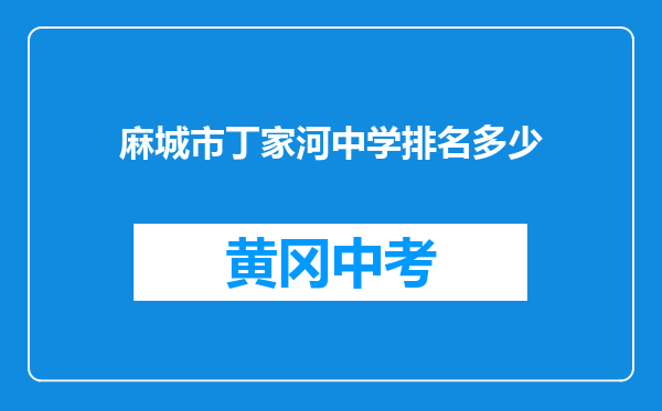 麻城市丁家河中学排名多少