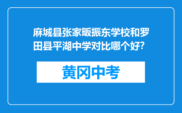 麻城县张家畈振东学校和罗田县平湖中学对比哪个好？